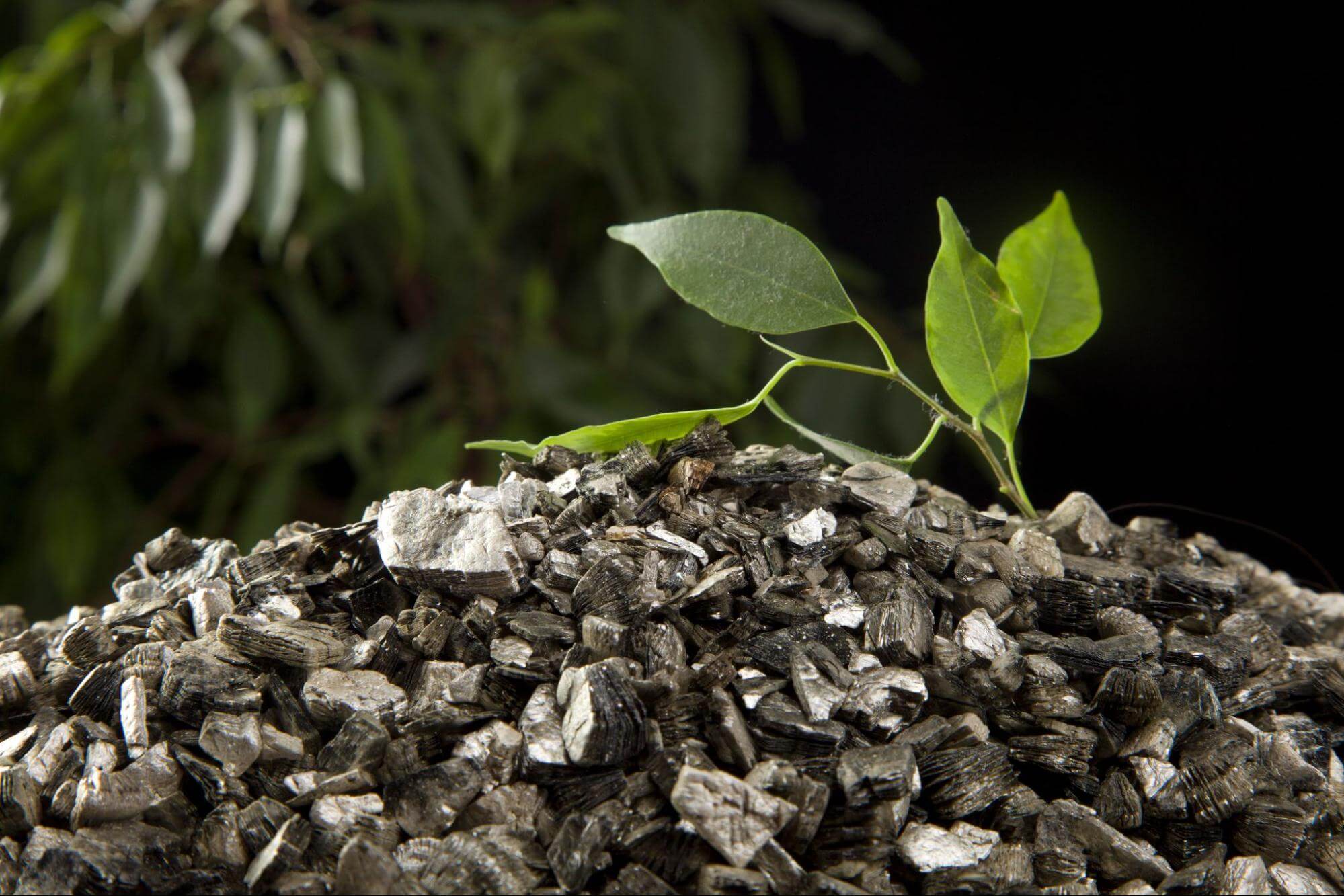 Wermikulit, perlit, płyty wermikulitowe - Bauwer Sp. z o.o.